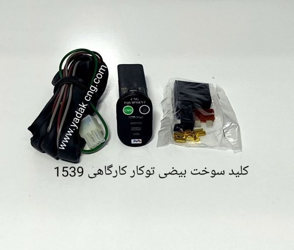 کلید سوخت بیضی توکار1539