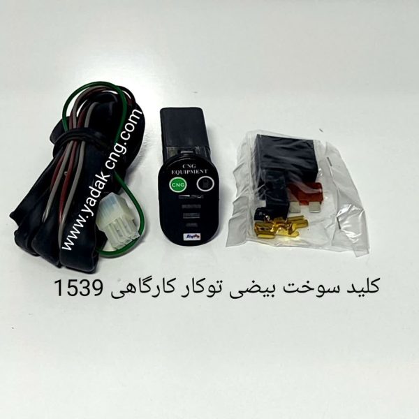 کلید سوخت بیضی توکار1539