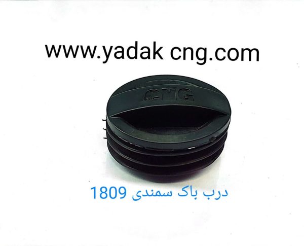 در باک فابریکی سمند 1809