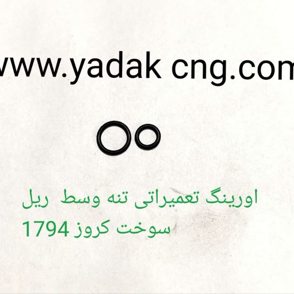 اورینگ ریل سوخت کروز  CNGکد1794